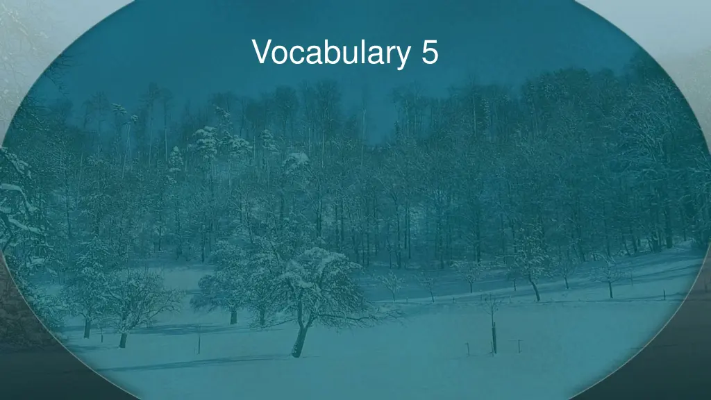 vocabulary 5 n.w