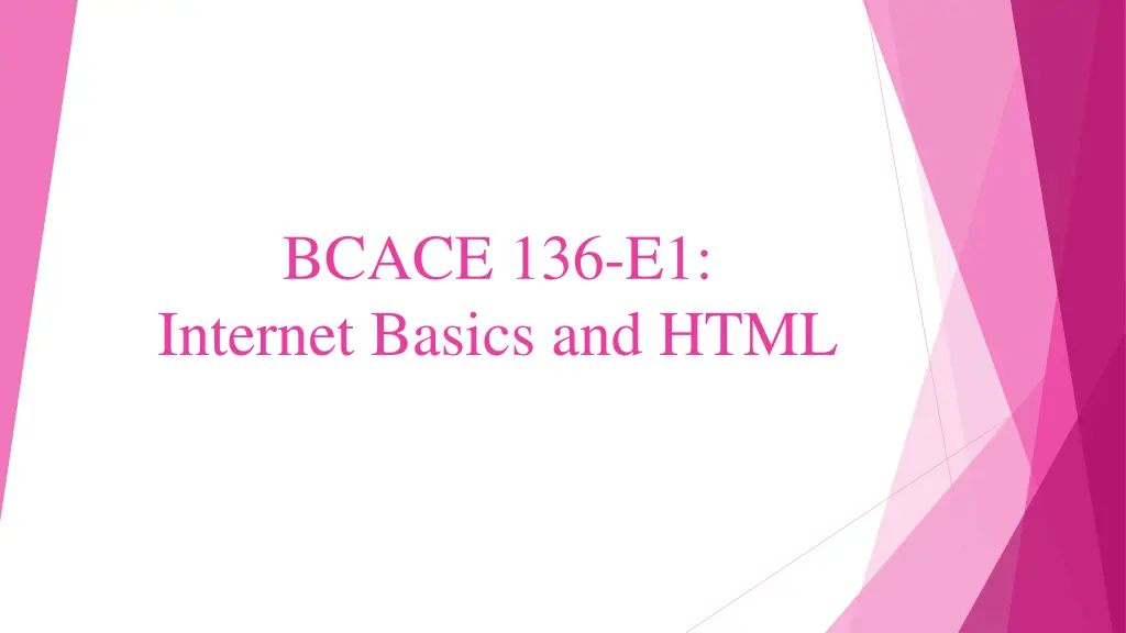 bcace 136 e1 internet basics and html n.w