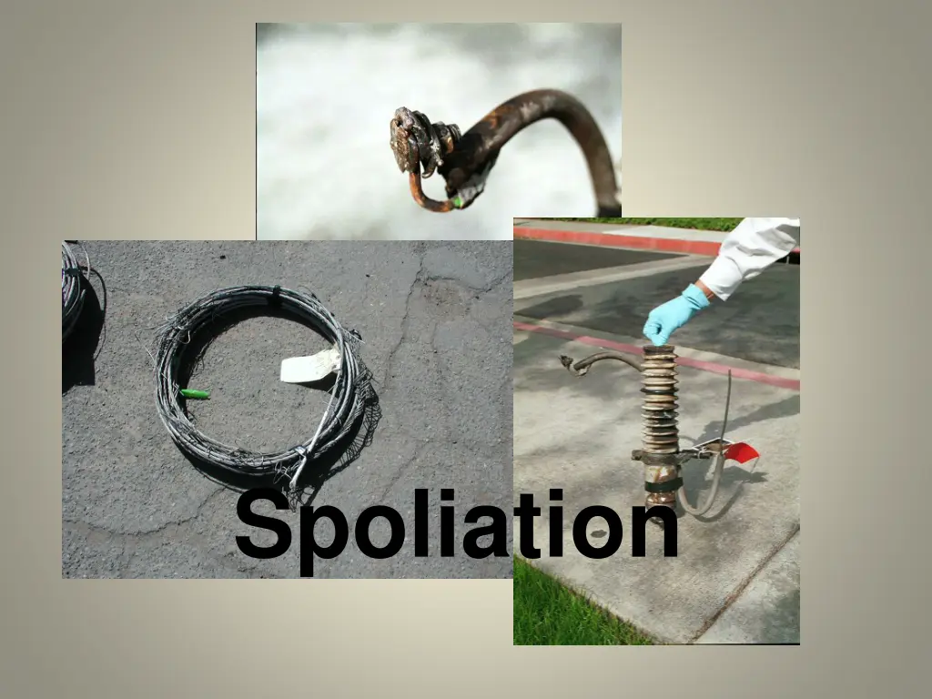 spoliation n.w