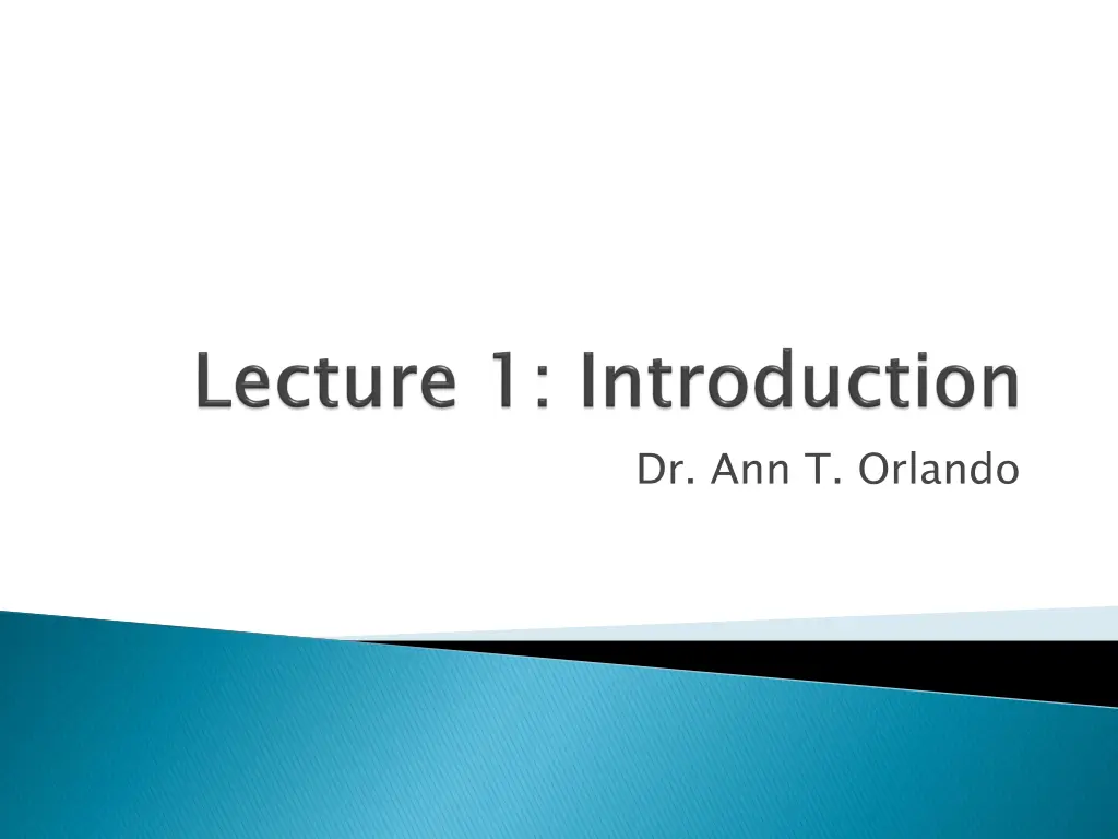 dr ann t orlando n.w