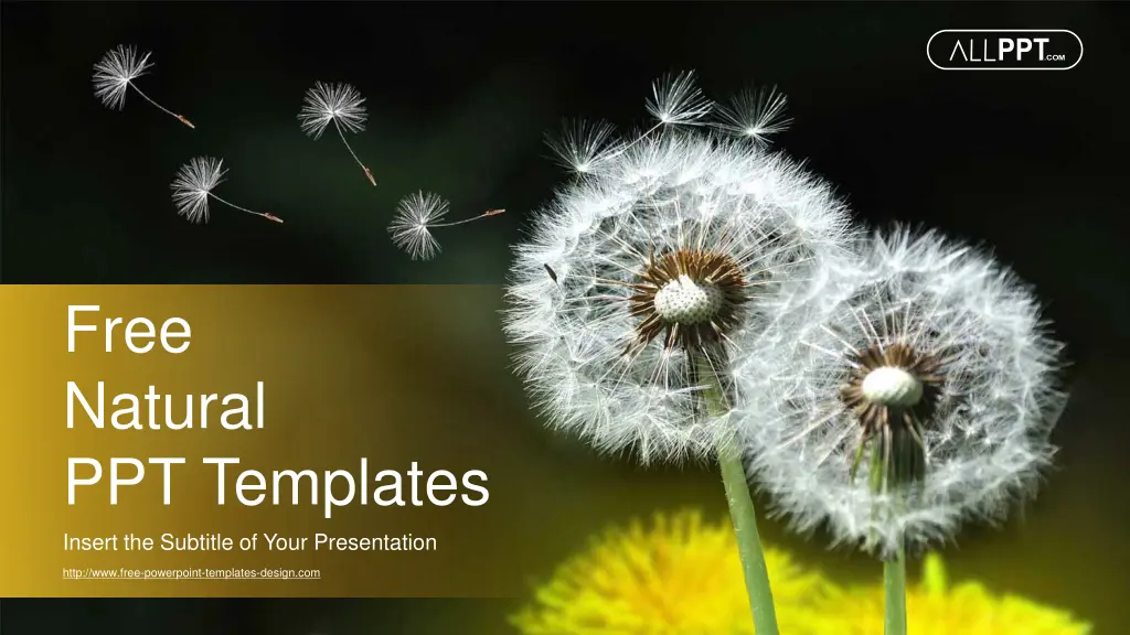 free natural ppt templates insert the subtitle n.w