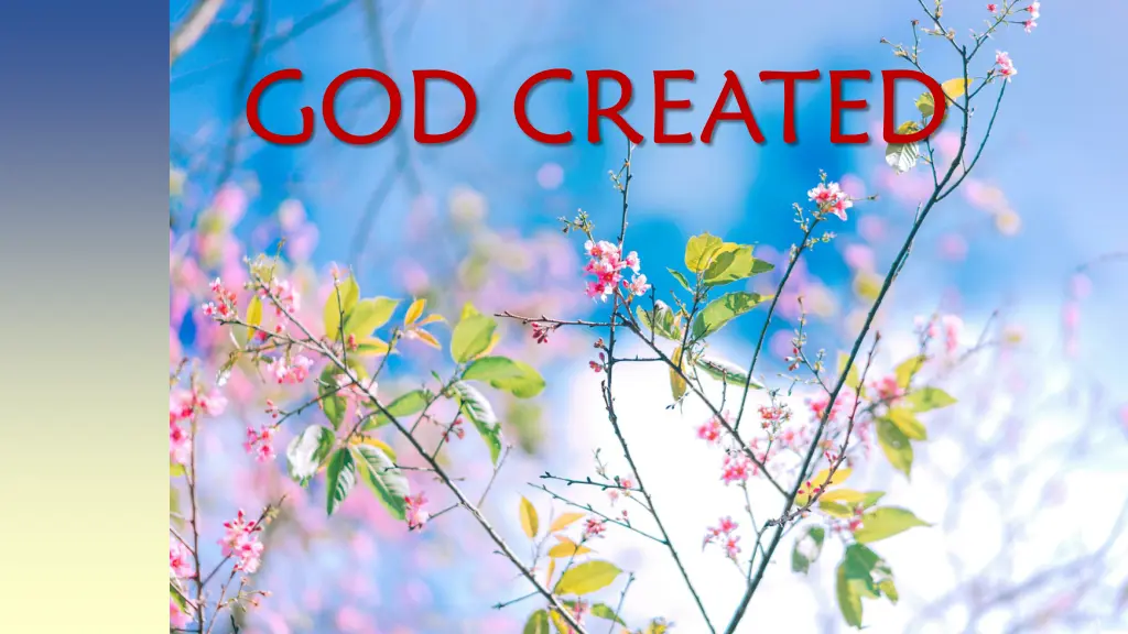 god created n.w