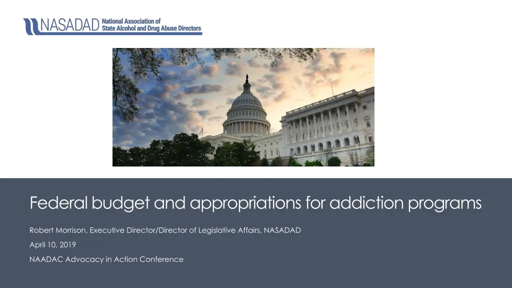 federal budget and appropriations for addiction n.w