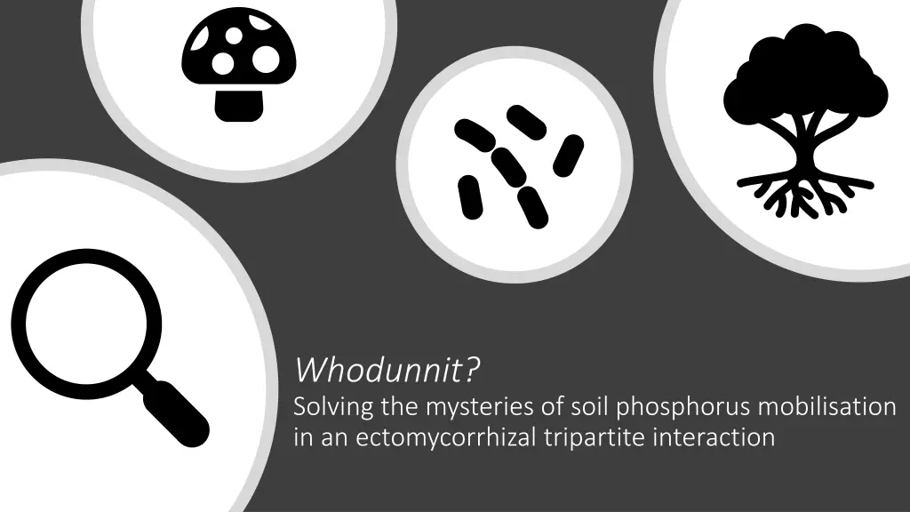 whodunnit solving the mysteries of soil n.w