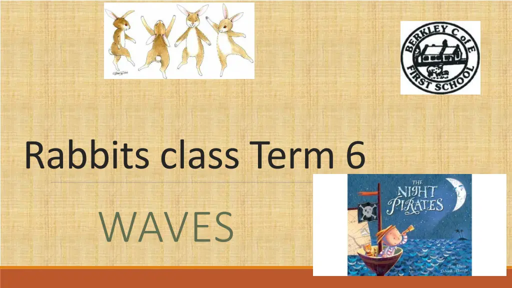 rabbits class term 6 n.w