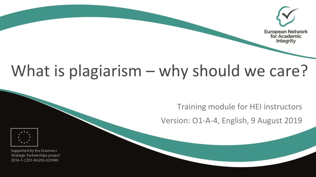 what is plagiarism why should we care n.w
