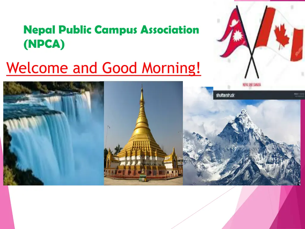 nepal public campus association npca n.w
