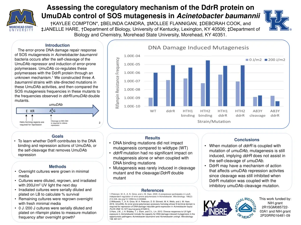 assessing the coregulatory mechanism of the ddrr n.w