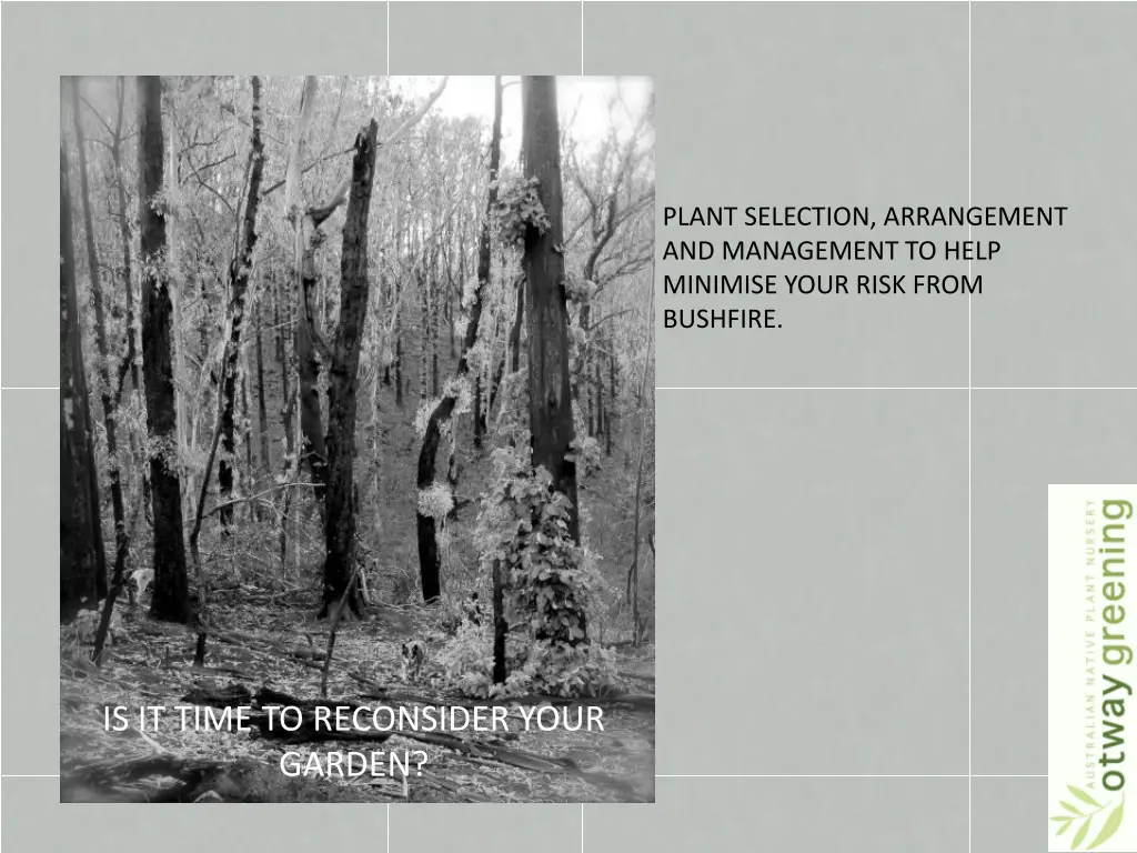 plant selection arrangement and management n.w