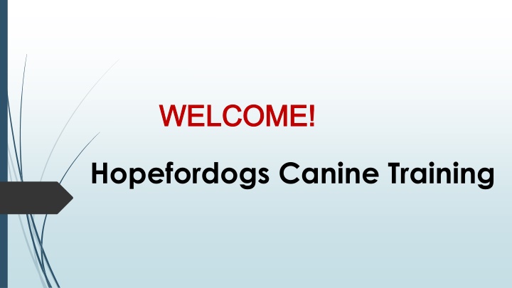 Best Dog Behaviourist in Bukit Purmei