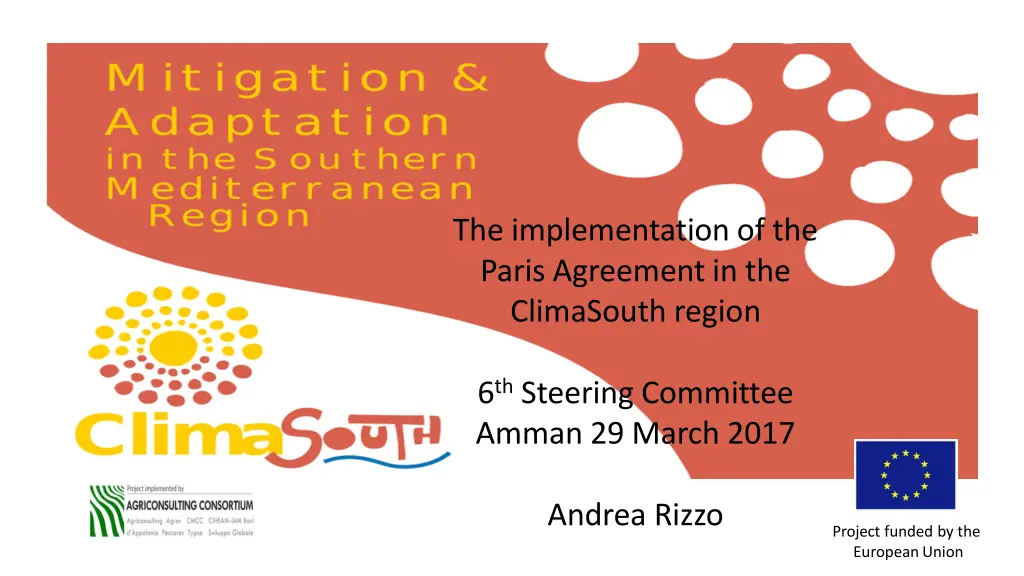 the implementation of the paris agreement n.w