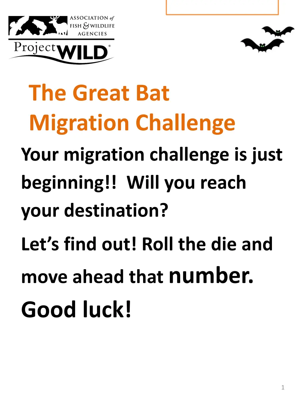 the great bat migration challenge n.w