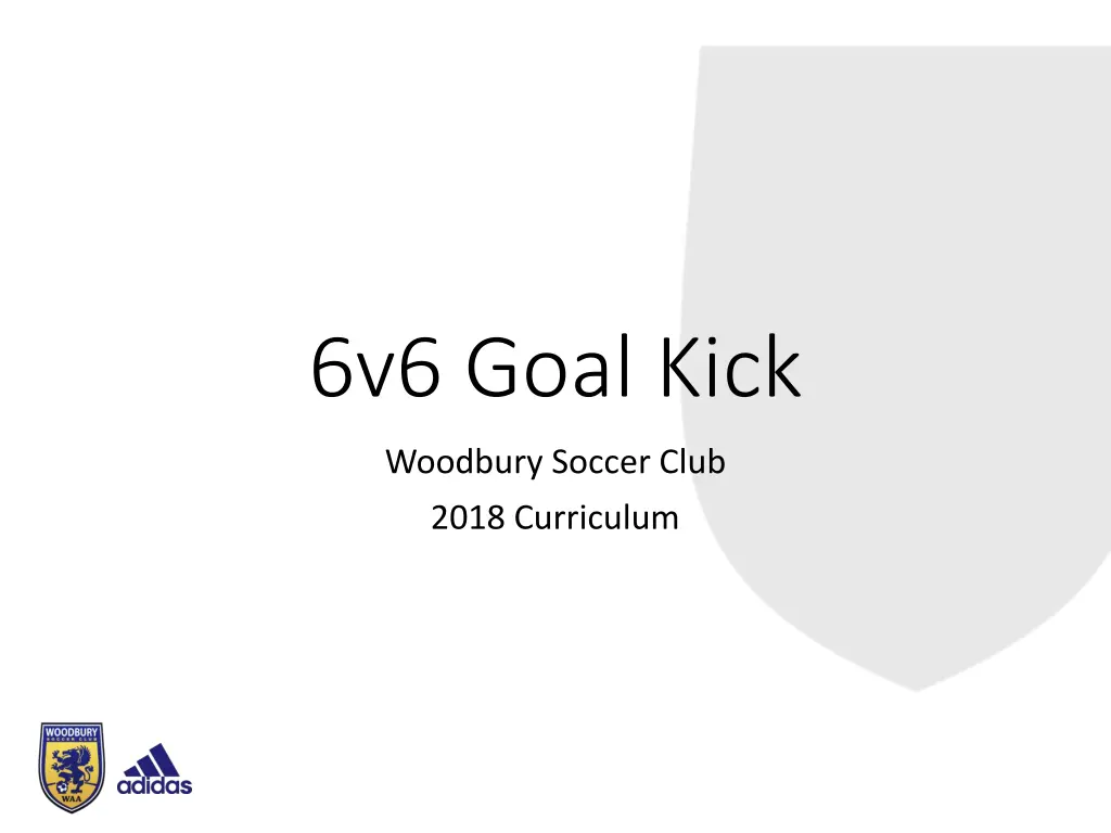 6v6 goal kick n.w