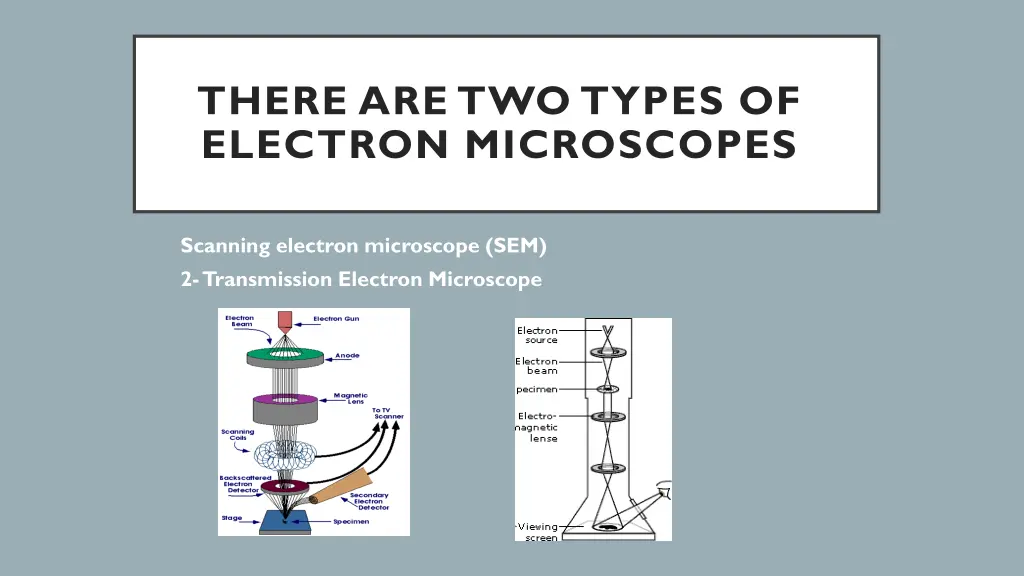 there are two types of electron microscopes n.w