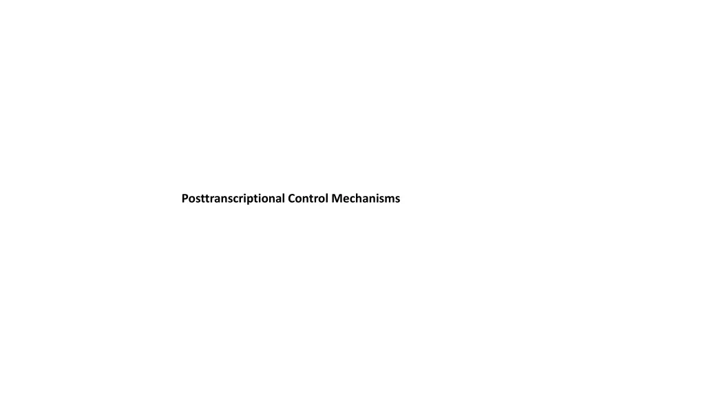 posttranscriptional control mechanisms n.w