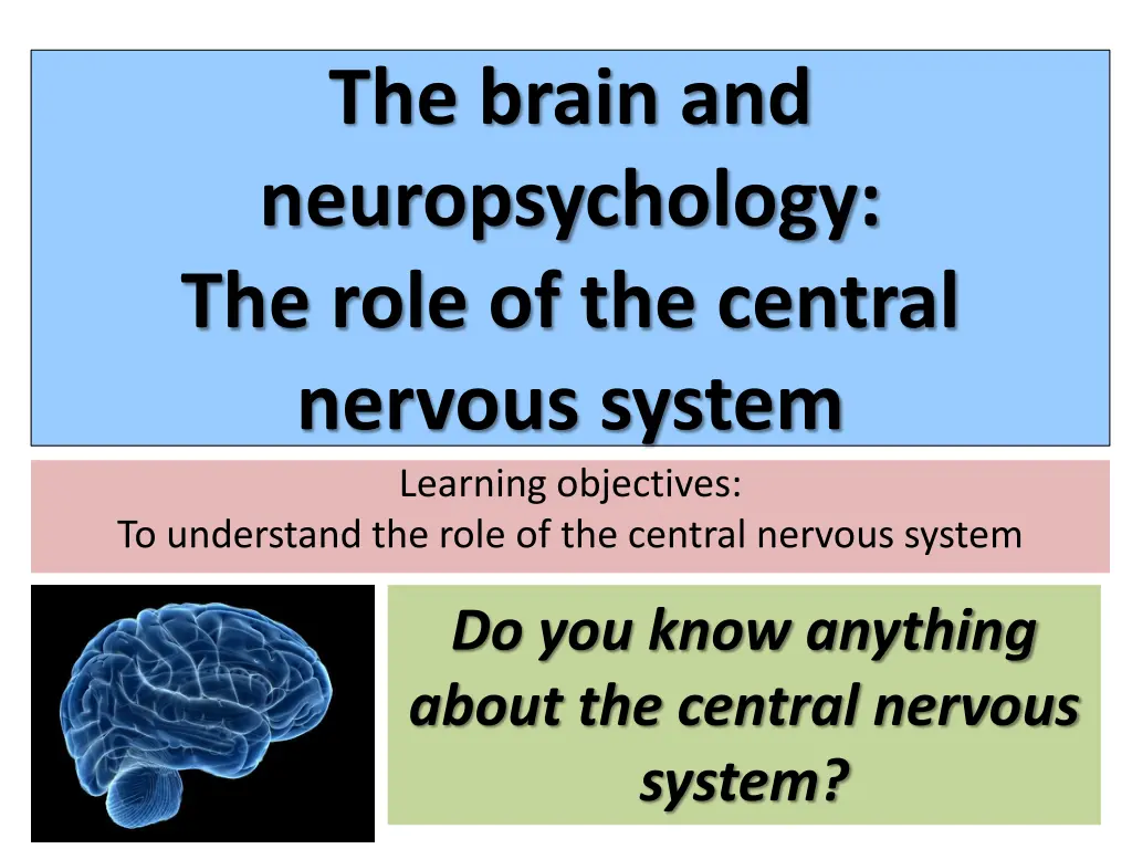 the brain and neuropsychology the role n.w