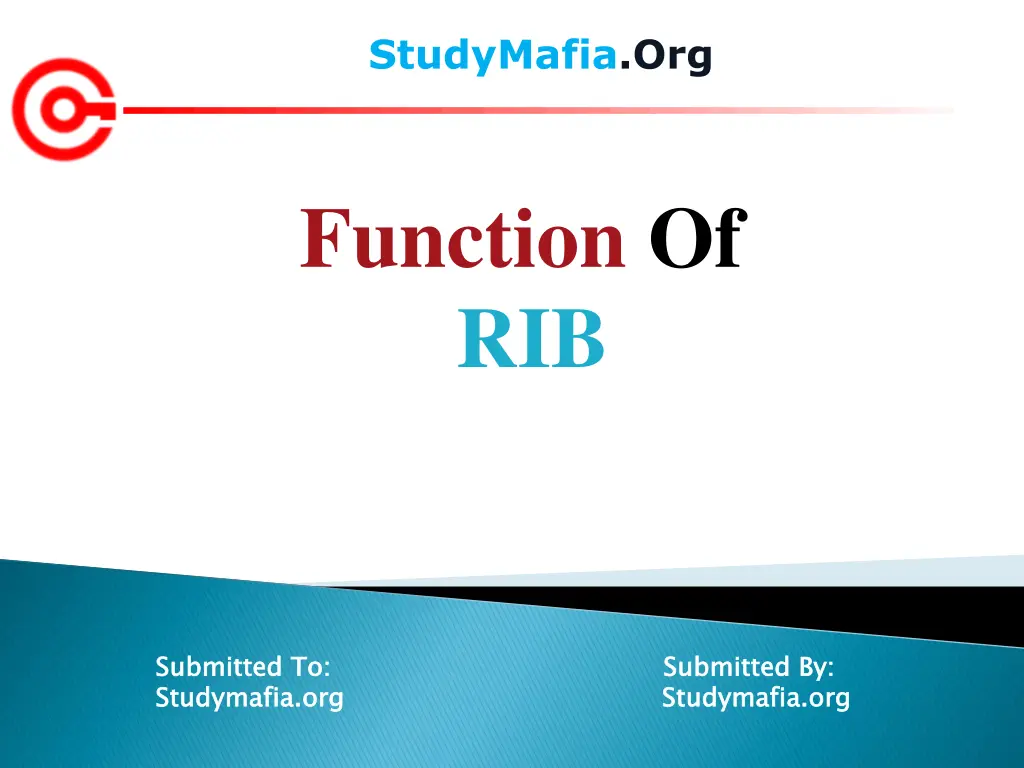 studymafia org n.w