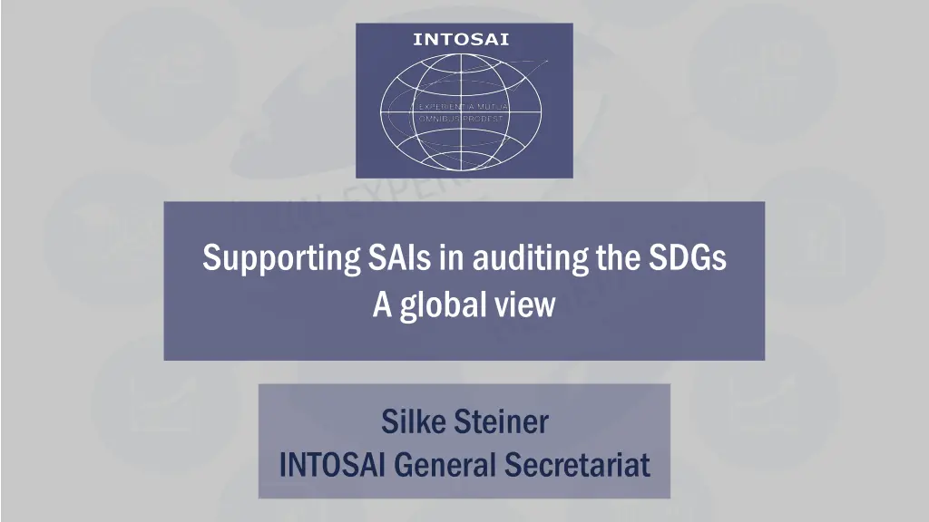 supporting sais in auditing the sdgs a global view n.w