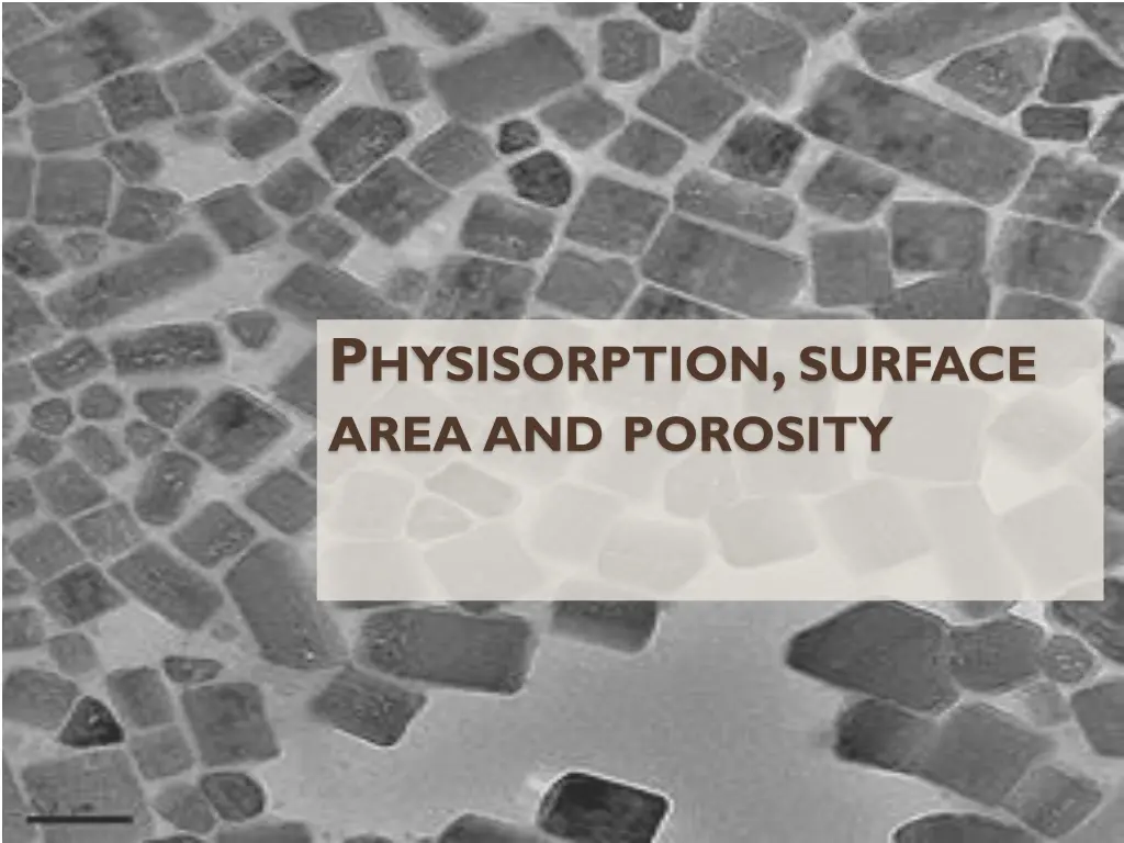p hysisorption surface area and porosity n.w