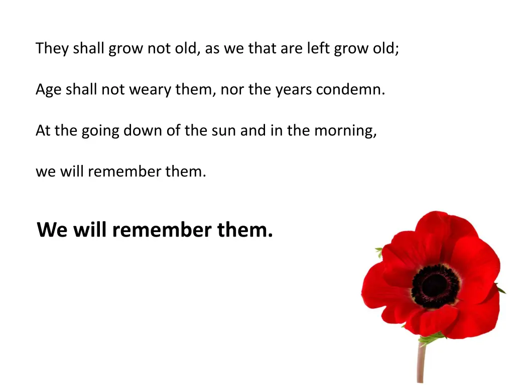 they shall grow not old as we that are left grow n.w