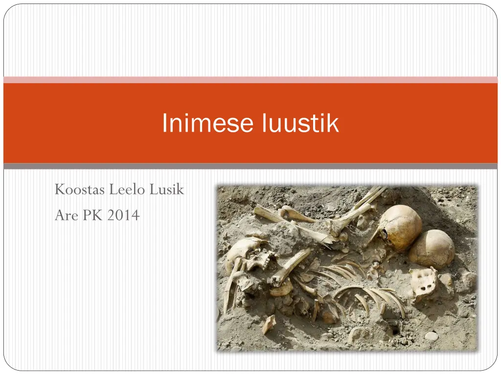 inimese luustik n.w