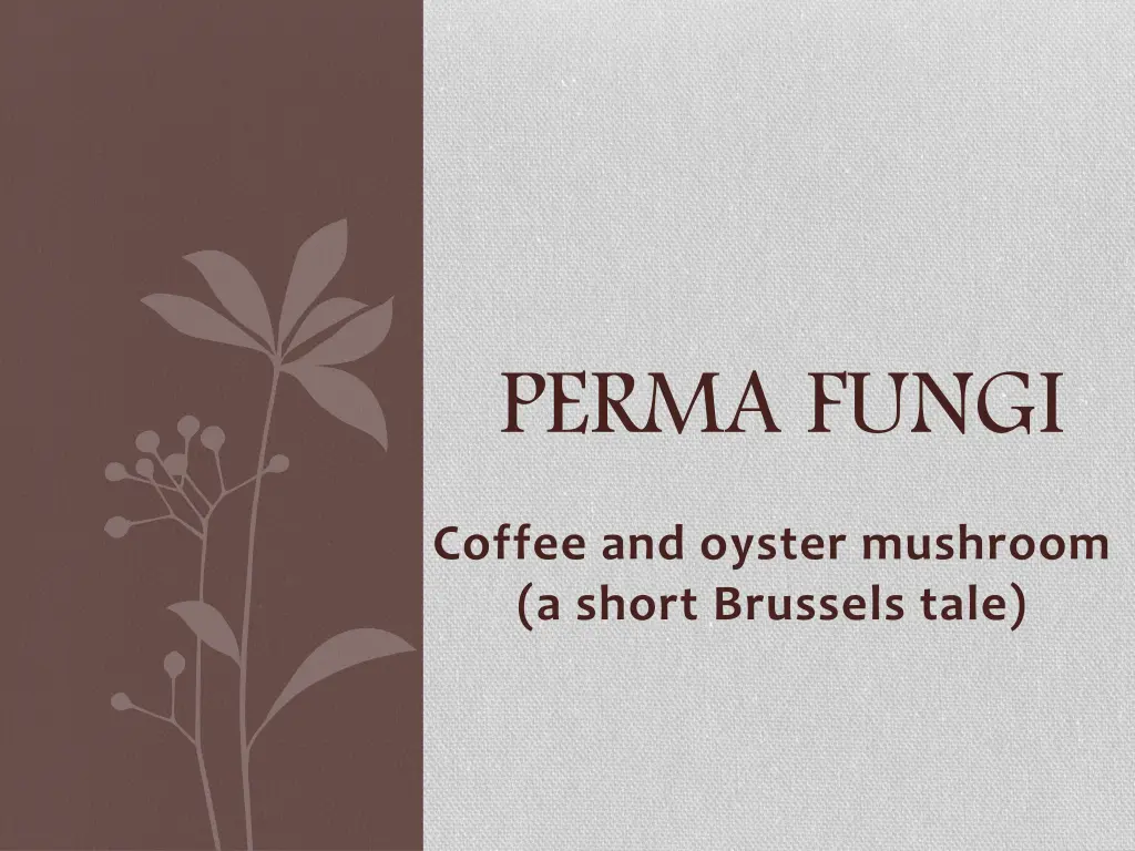 perma fungi n.w