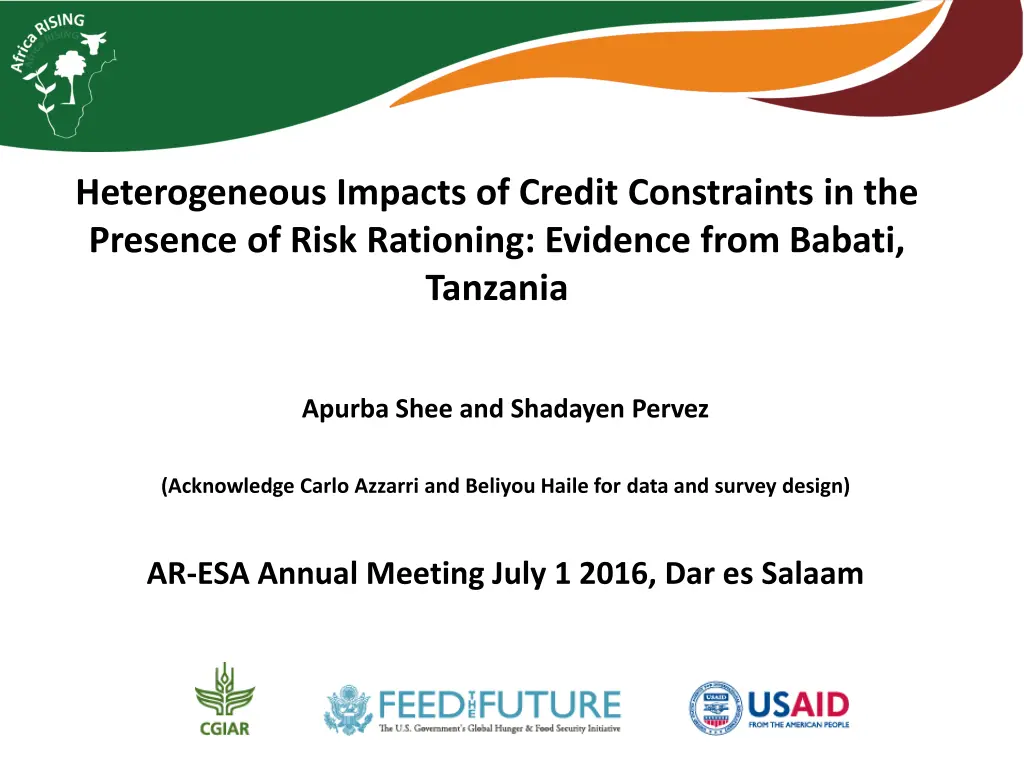 heterogeneous impacts of credit constraints n.w