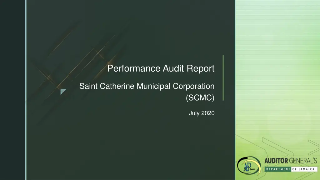 performance audit report n.w