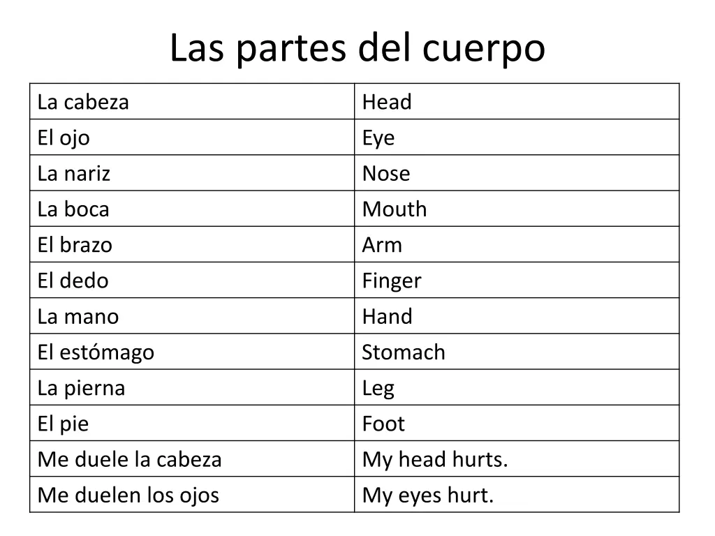 las partes del cuerpo n.w