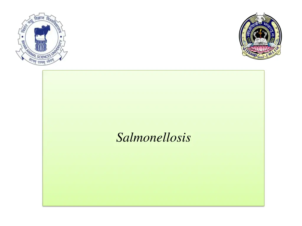 salmonellosis n.w