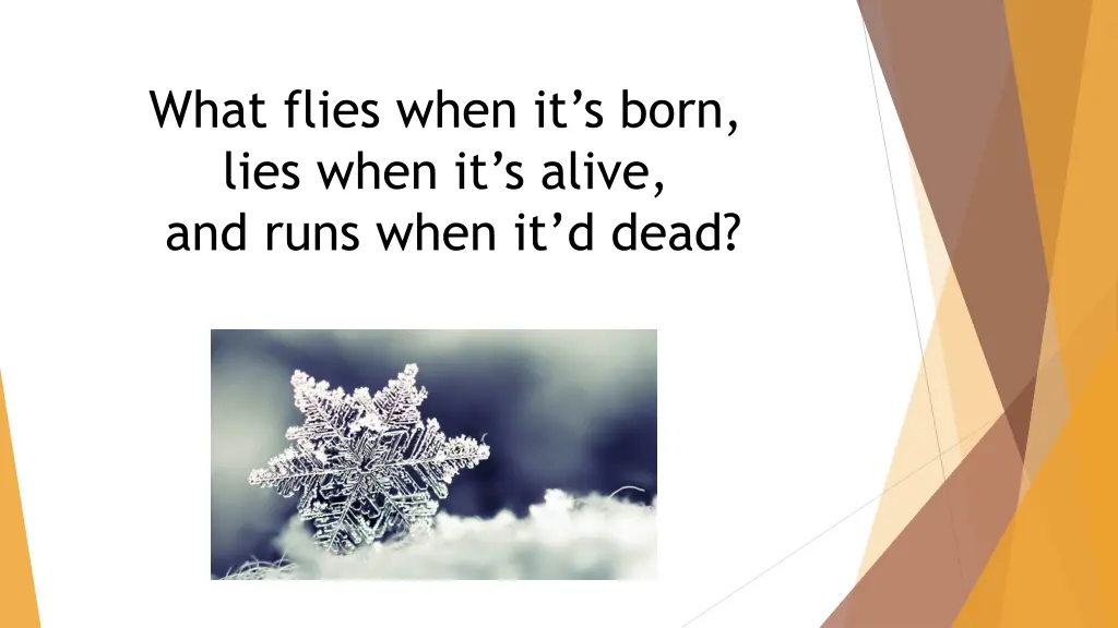what flies when it s born lies when it s alive n.w