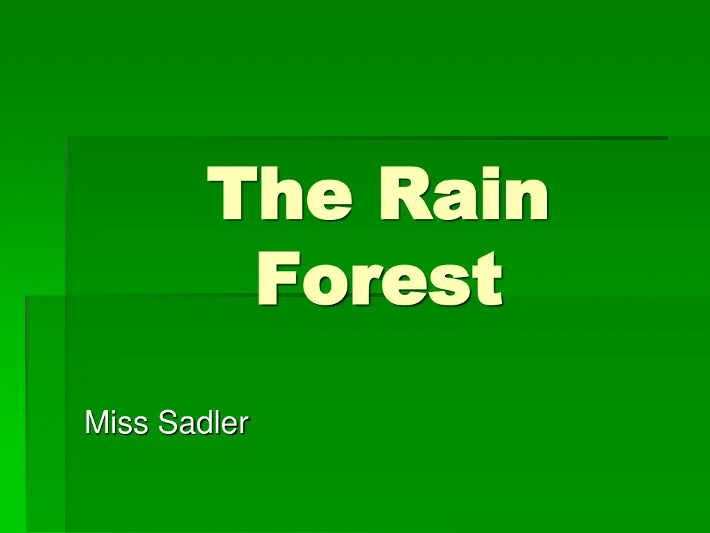 the rain the rain forest forest n.w