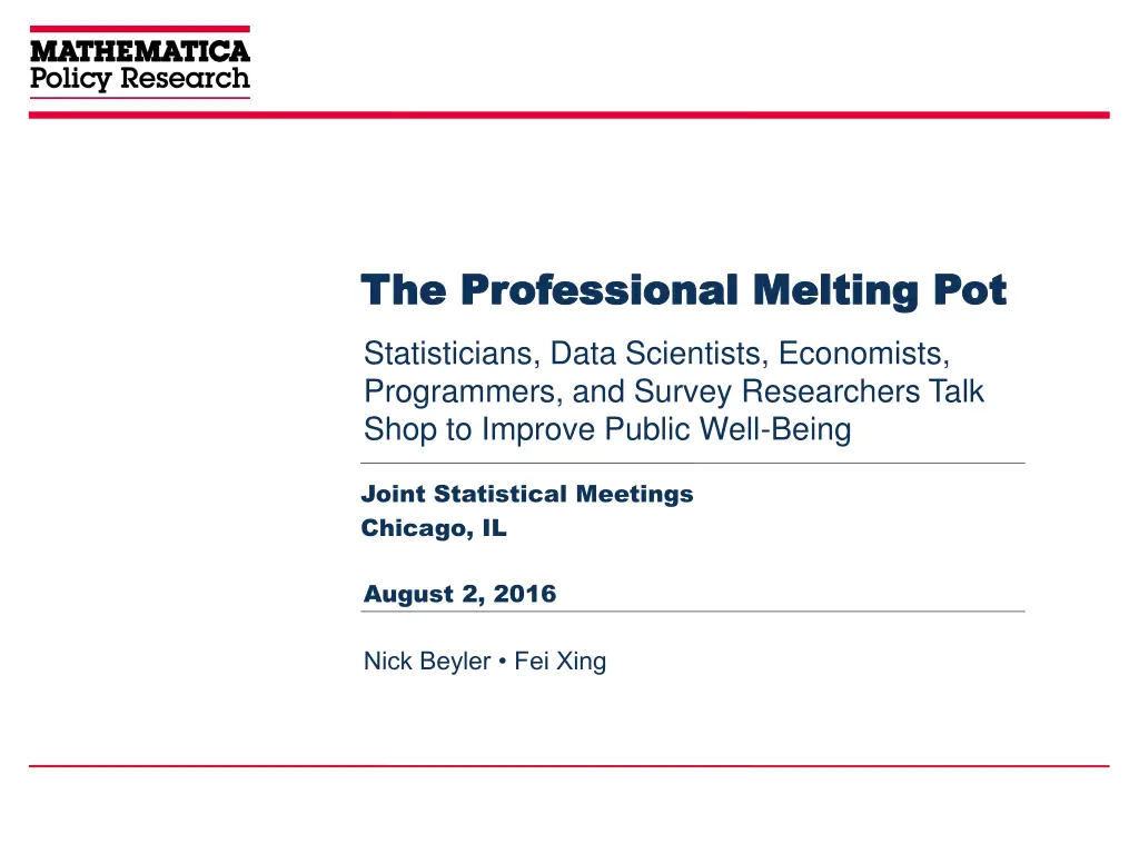 the professional melting pot the professional n.w