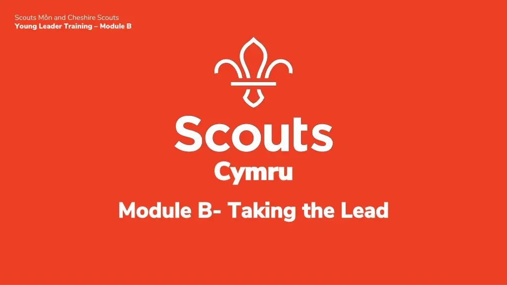 scouts m n and cheshire scouts young leader n.w