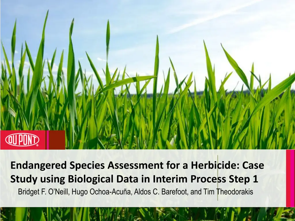 endangered species assessment for a herbicide n.w