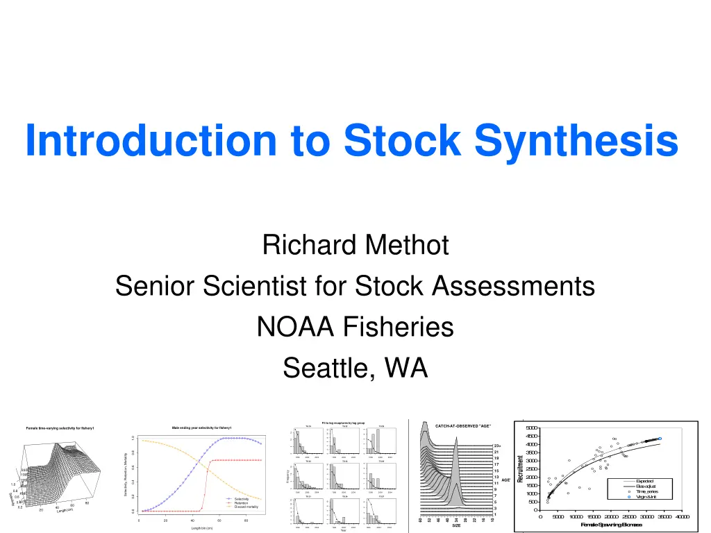 introduction to stock synthesis n.w