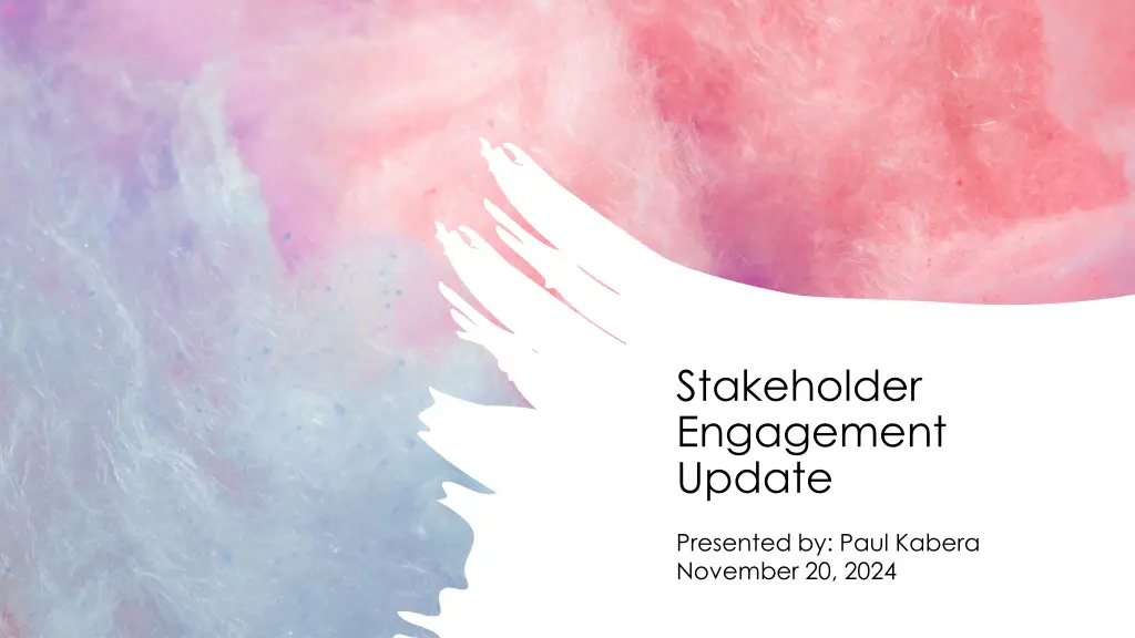stakeholder engagement update n.w