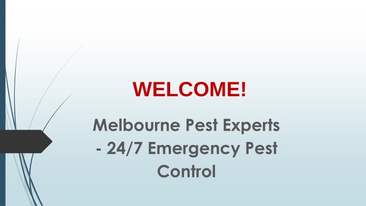 Best Pest Control in Templestowe