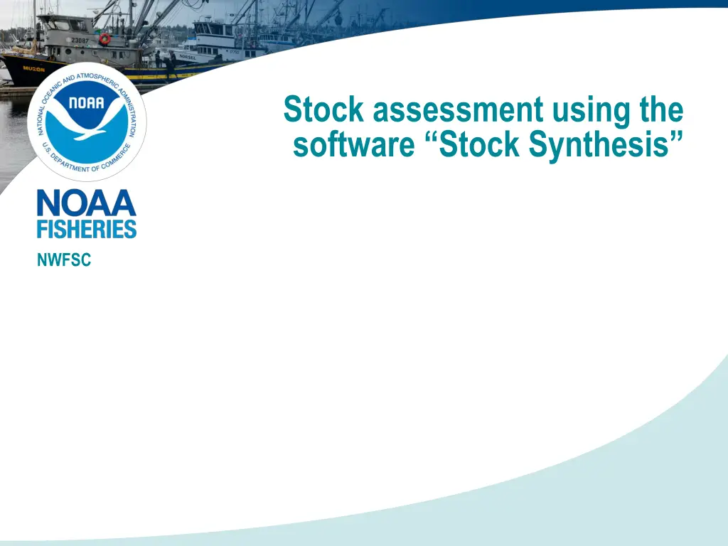 stock assessment using the software stock n.w
