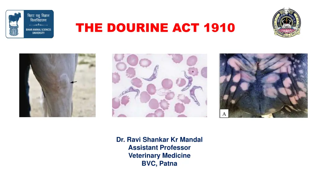 the dourine act 1910 n.w
