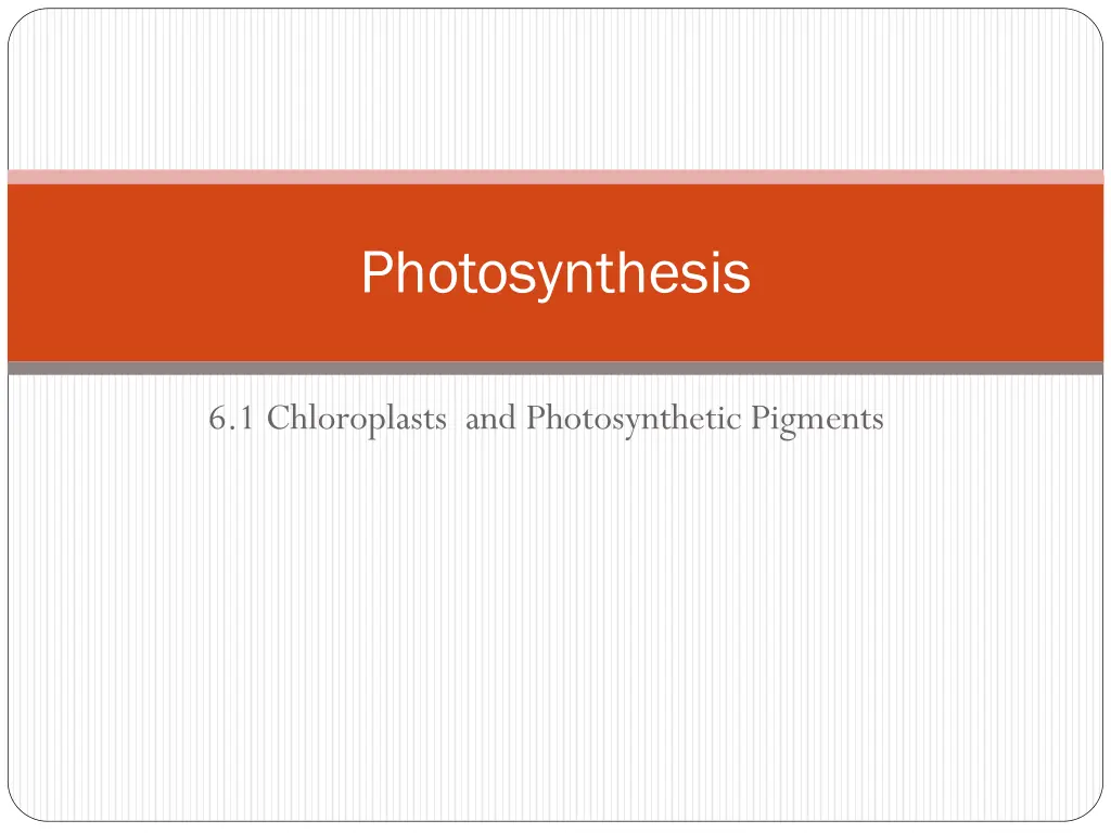 photosynthesis n.w