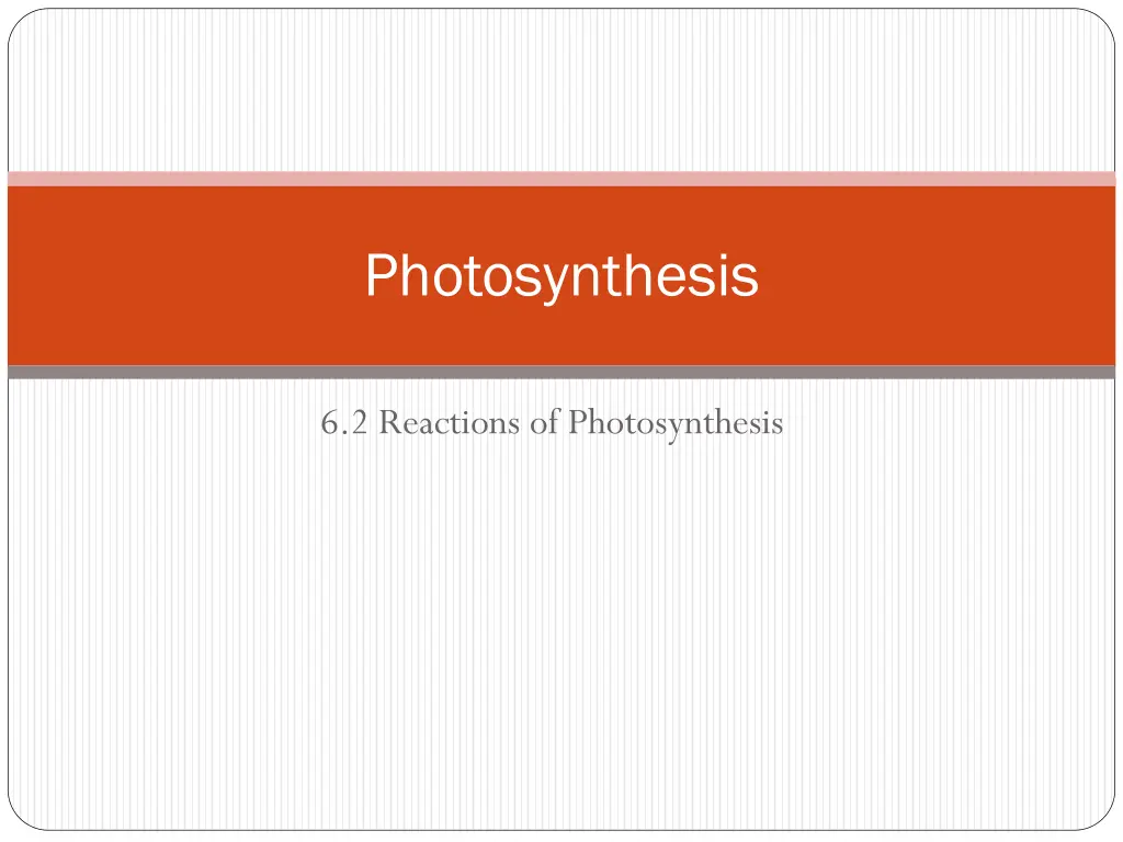 photosynthesis n.w