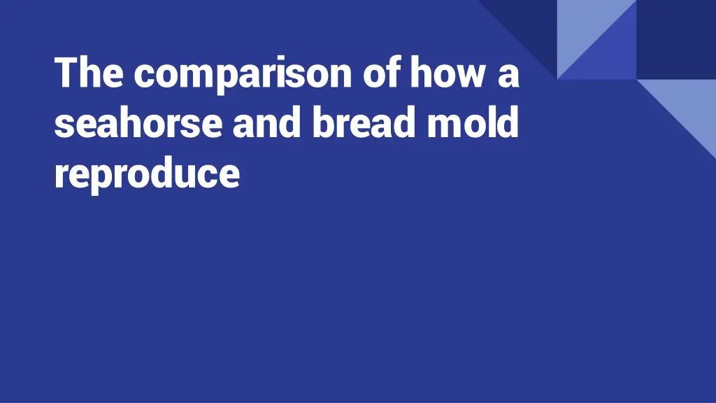 the comparison of how a seahorse and bread mold n.w