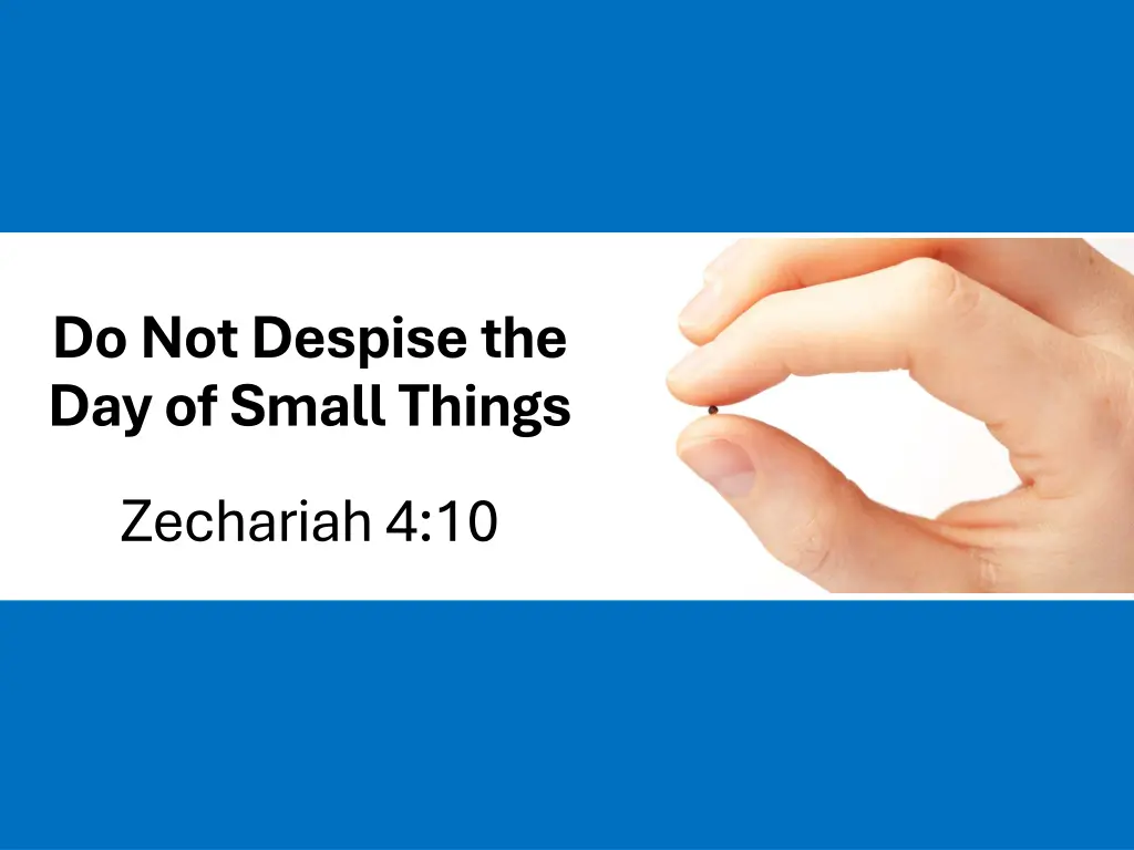 do not despise the day of small things n.w