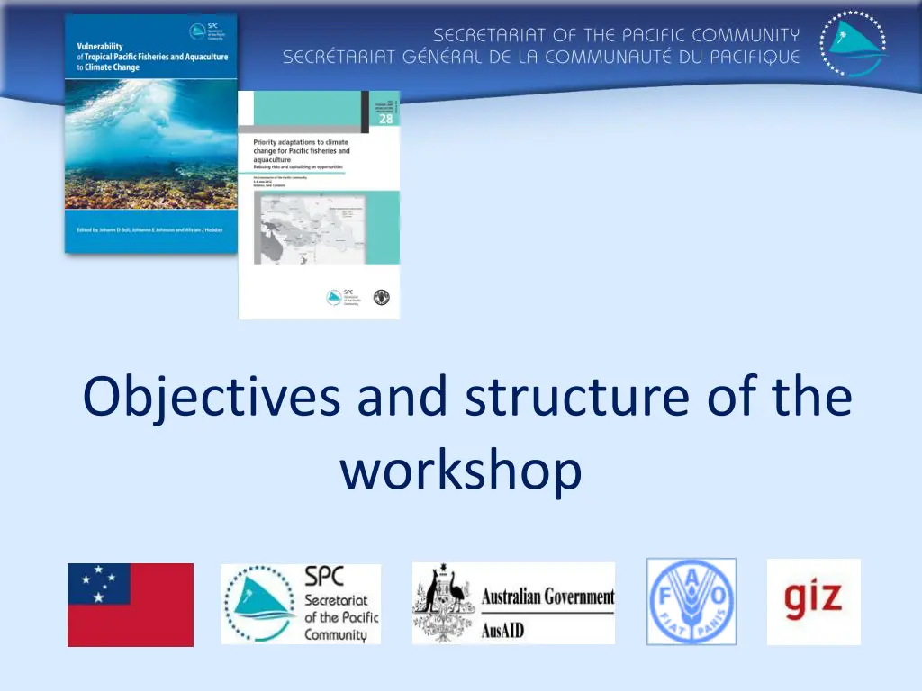objectives and structure of the workshop n.w