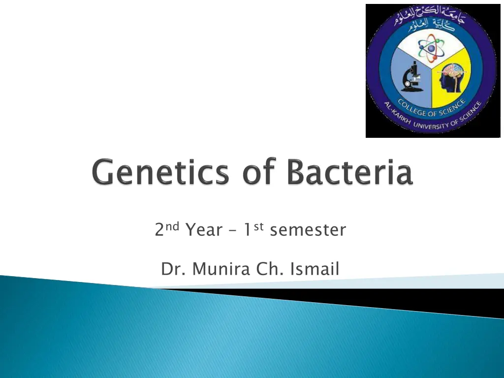 2 nd year 1 st semester n.w