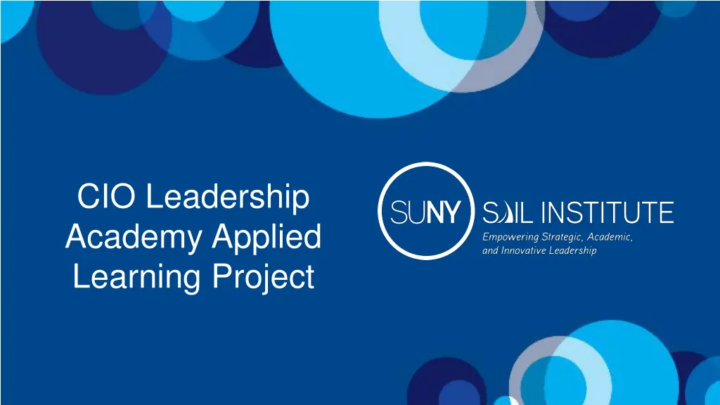 cio leadership academy applied learning project n.w