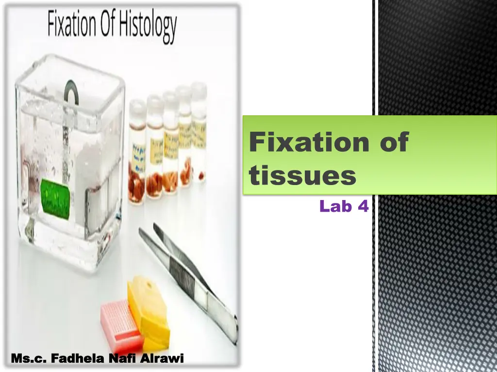 fixation of tissues n.w