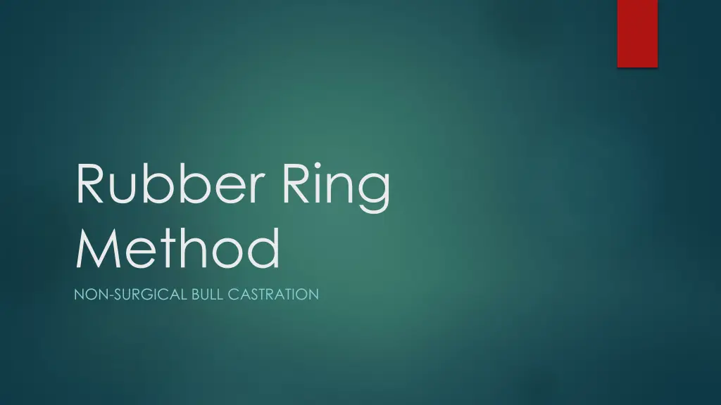rubber ring method non surgical bull castration n.w