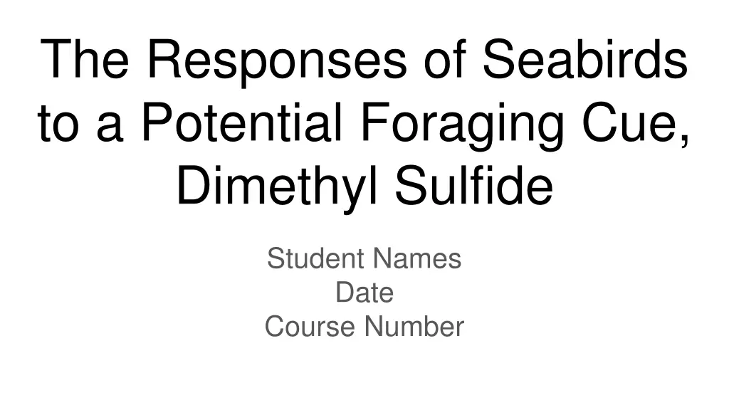 the responses of seabirds to a potential foraging n.w